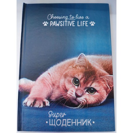 Щоденник учнівський (Котик 2)